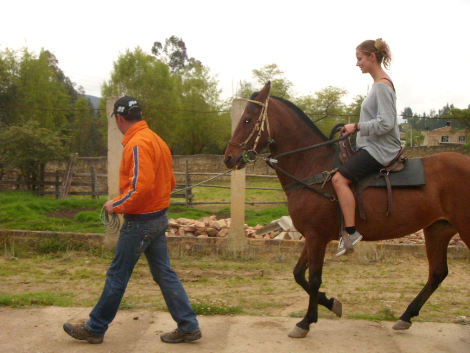 temi riding horse